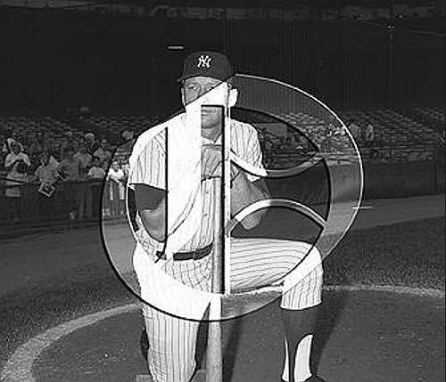 Mickey MantleN0349